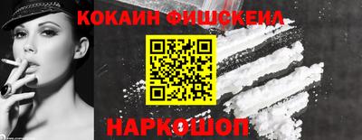 крисы Кингисепп