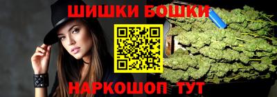 крисы Кингисепп