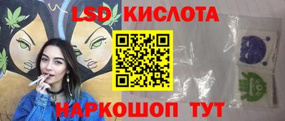 крисы Кингисепп