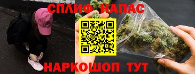 крисы Кингисепп