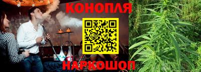 крисы Кингисепп