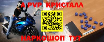 крисы Кингисепп