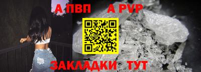 крисы Кингисепп