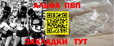 крисы Кингисепп