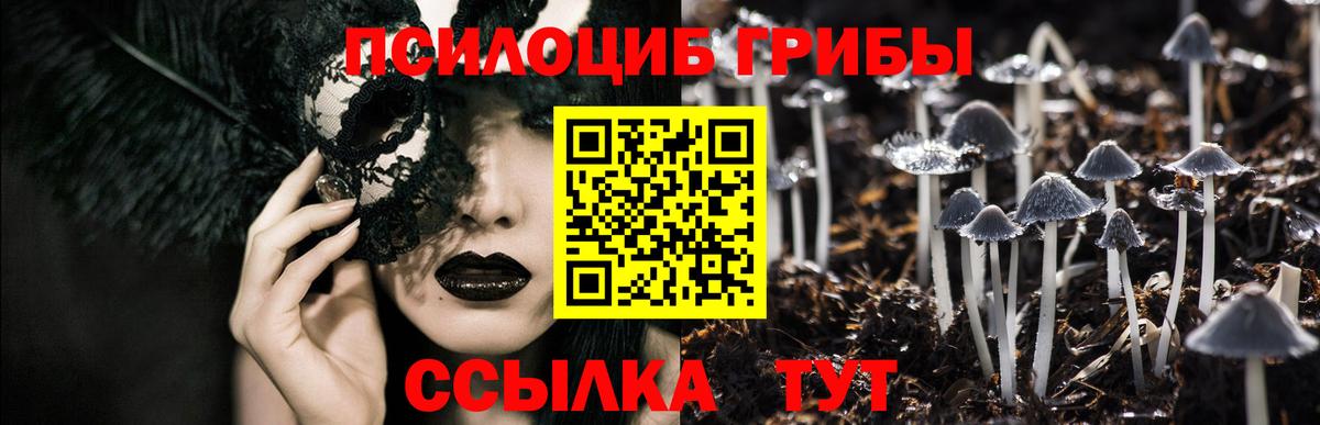 Галлюциногенные грибы GOLDEN TEACHER Кинель
