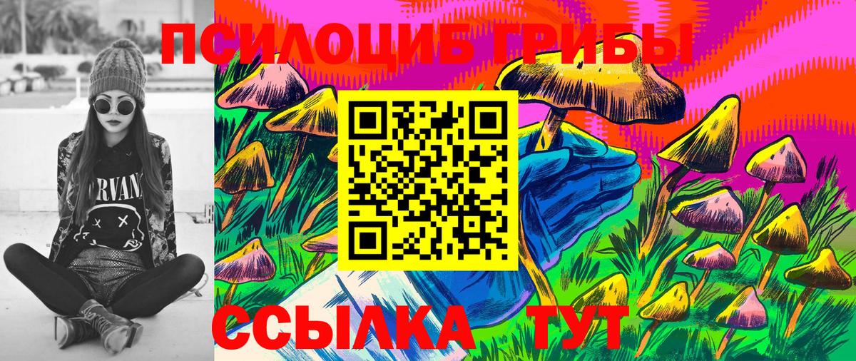 магазин  наркотиков  Псилоцибиновые грибы MAGIC MUSHROOMS  Вход с VPN  Кинель 